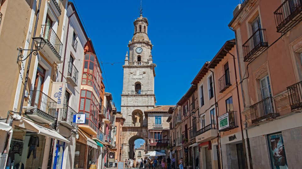 hq_Toro17_Zamora